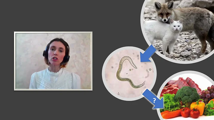 University of Surrey 3MT 2022 Winner: Sara Healy