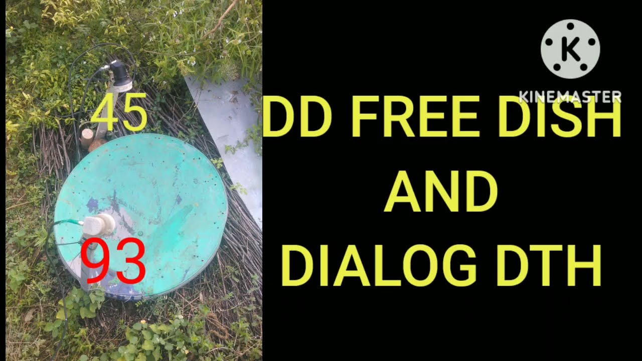 DD FREE DISH AND DIALOG DTH MULTI KU BAND SATTELITE TRACKING IN 2FT DISH ( 95+45)