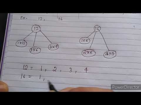 Concept of HCF | GCD | GCF in Hindi