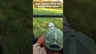 Into The Wild, Secrets Revealed - Open2Explore