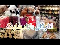 Anarkali Bazar Lahore Shopping | Shopping Mood | Cooking with Mum