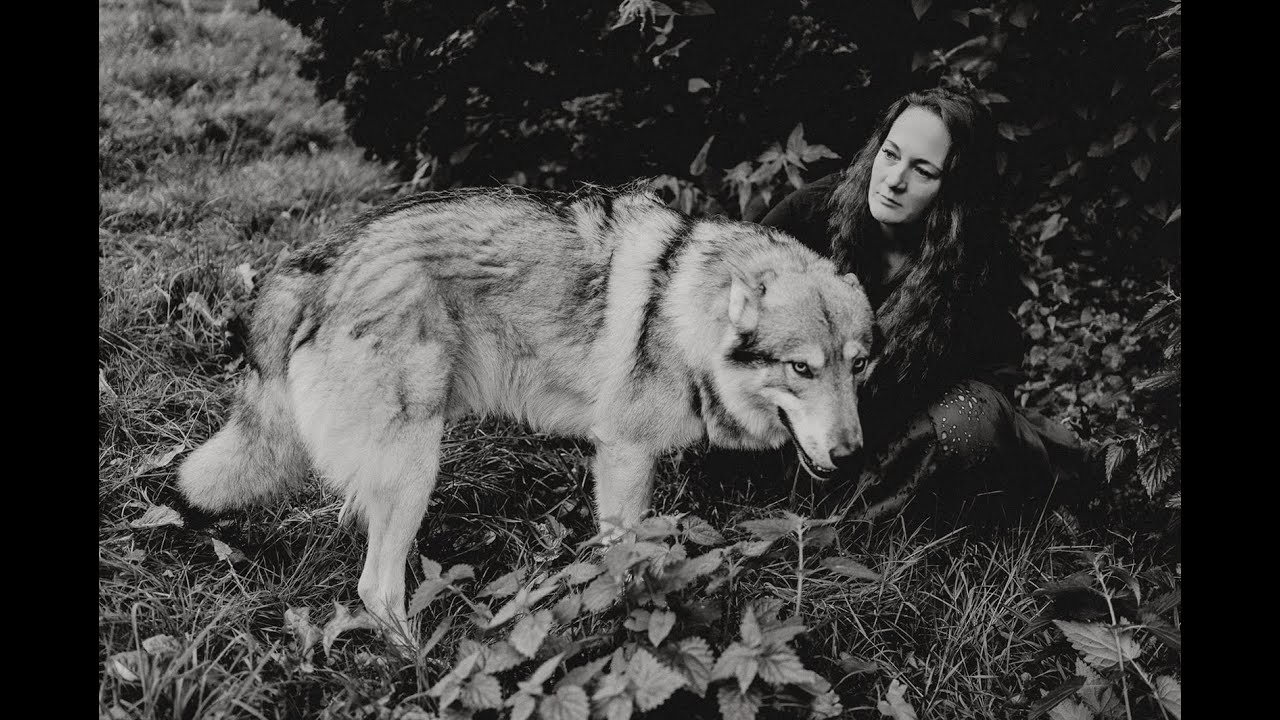 Coming Out - Wolf inside 🐺