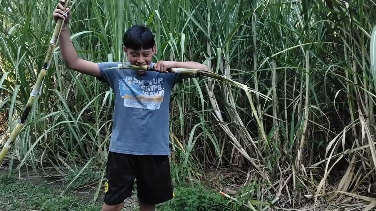 Chupando caña (parte 1)😎🐠🐡😳