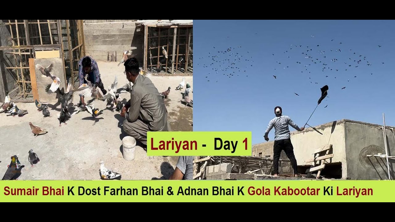Sumair Bhai K Dost Farhan Bhai & Adnan Bhai K Gola Kabootar Ki Lariyan - Day 1
