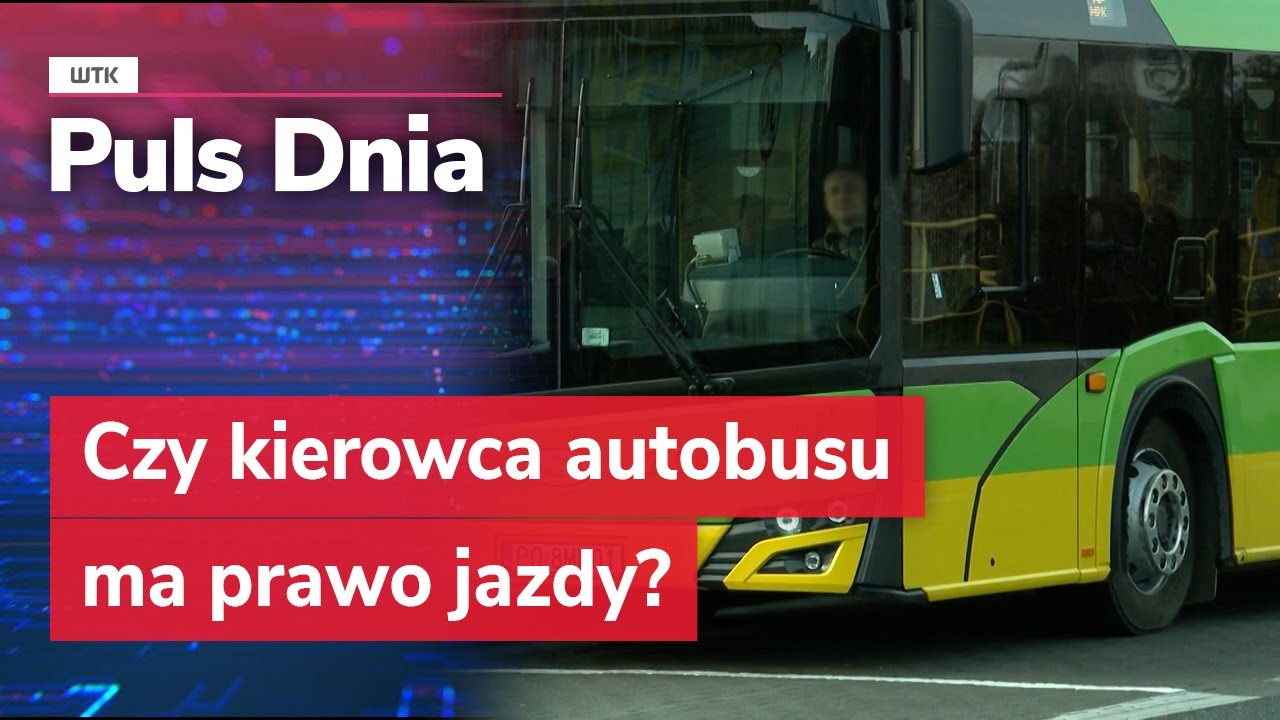 Czy kierowca autobusu ma prawo jazdy? Łatwiej będzie to sprawdzić