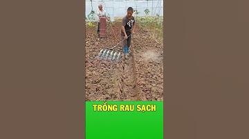 Chiếc cào lửa 6 nòng dọn sạch cỏ dại và mầm bệnh cho cả khu vườn