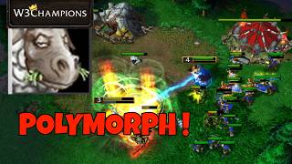 Sorceress & Priest vs Orcs – Mass Polymorph Crowd Control W3Champions Ladder Madness #war3