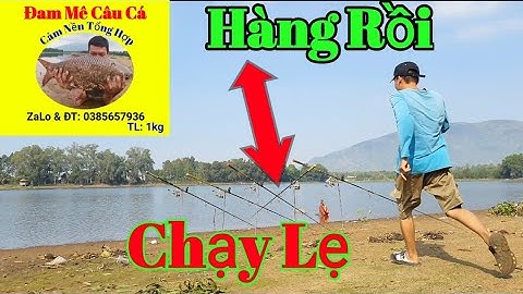 🎣Fishing | Ra Hồ Núi Le Test Cám Nền Tổng Hợp Và Kết Quả Bất Ngờ