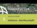 Solothurn - Balmfluechöpfli