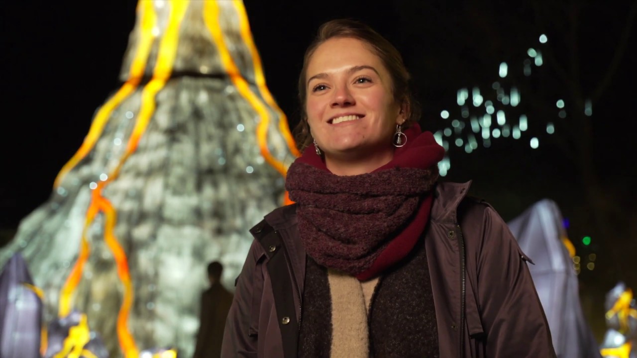 Giant Lanterns is back with bite!