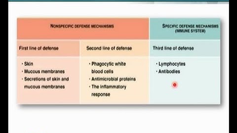 Introduction of Immune System | Animal Form & Function 1 (Theory) | ZOO516T_Topic185