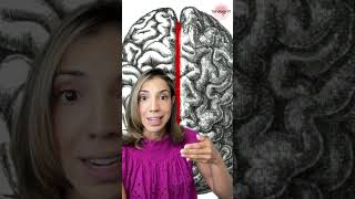 Famous Ever heard about the CORPUS CALLOSUM? Part 1 Wealth