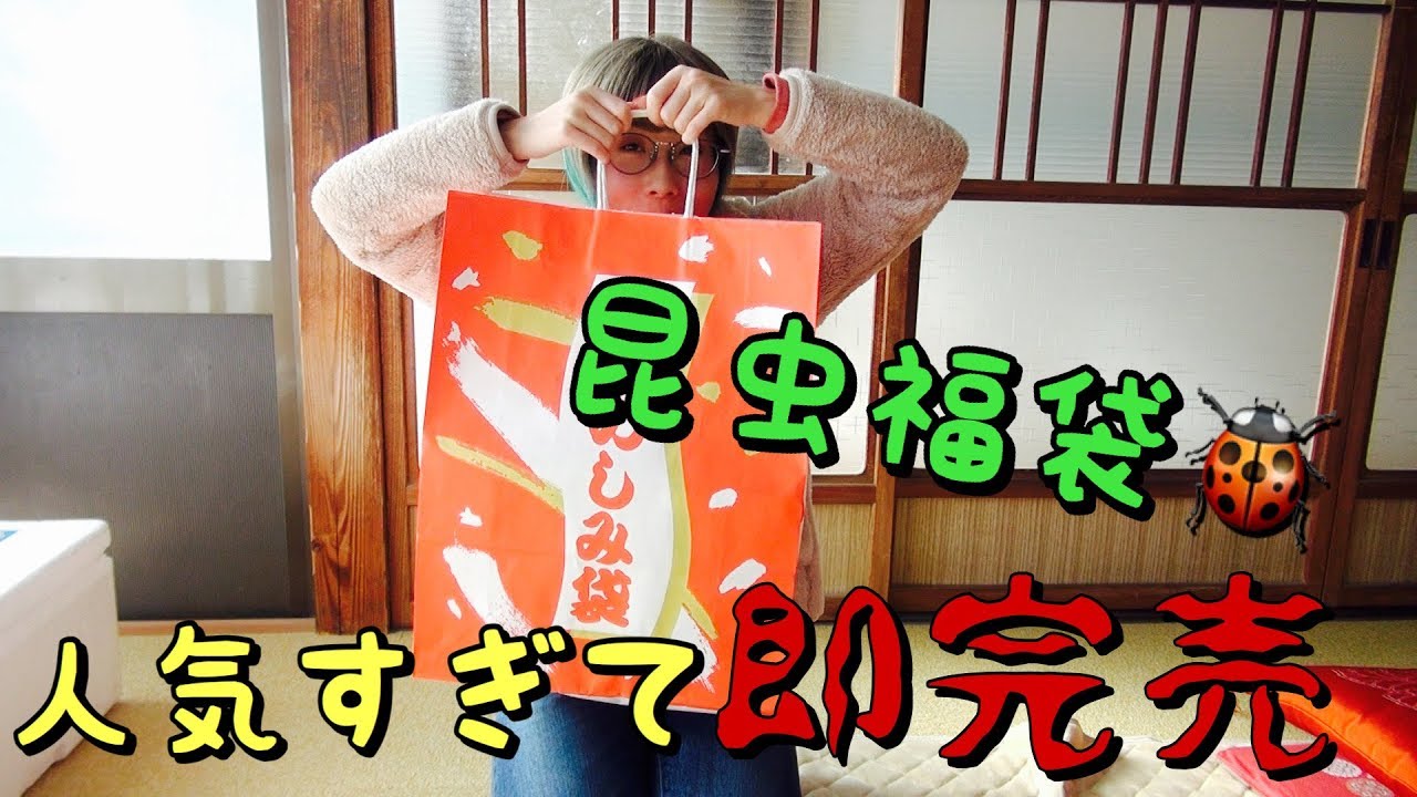 クワカブ福袋   配送のみ 2023年】初売りクワガタ福袋 33000円の開封 昆虫ショップSMIS - YouTube