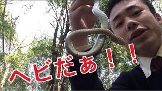 森を探検したら小さな生き物に遭遇!!