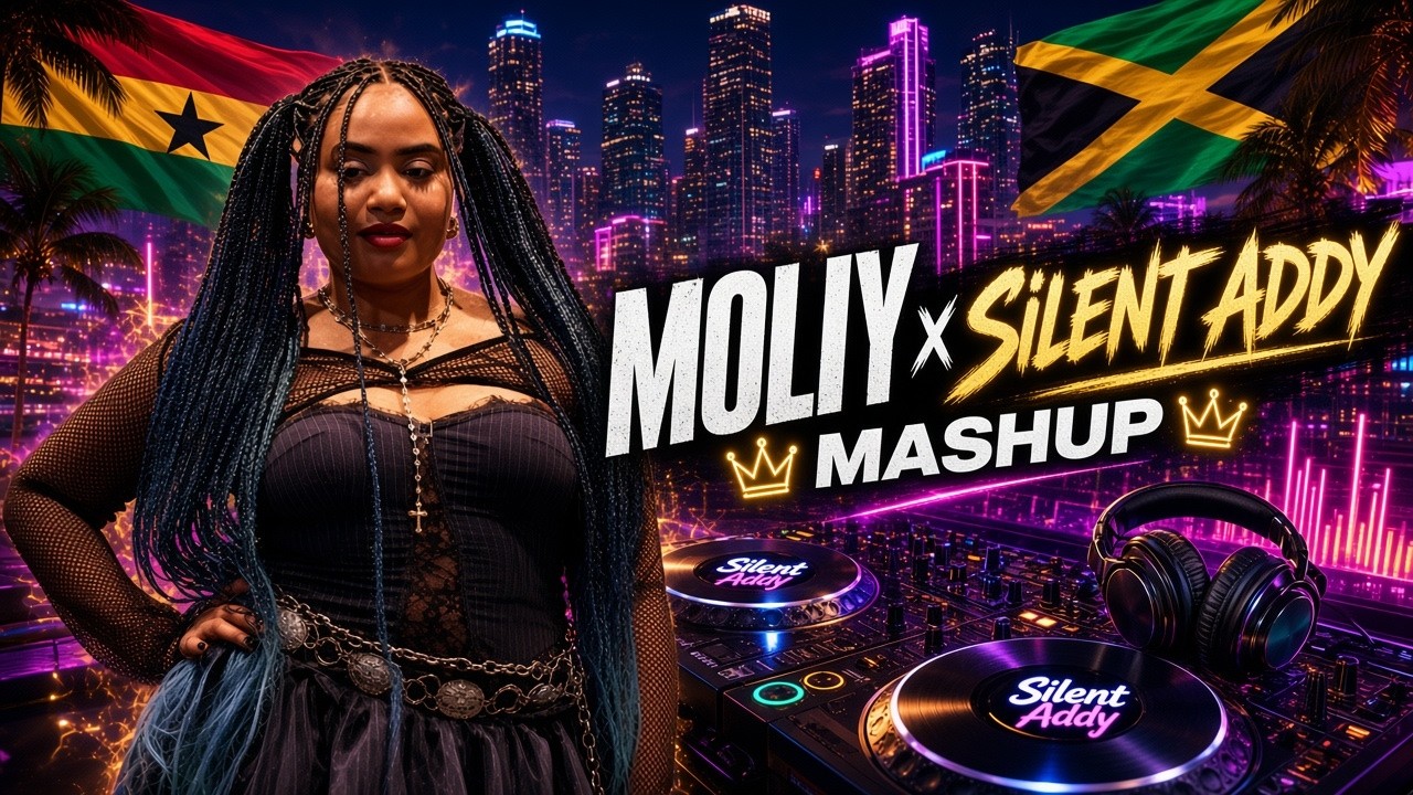 Moliy, Silent Addy (Fly) Shake It To The Max Mashup - DJ Rockspin - YouTube