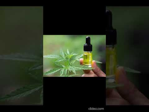 Addressing Concerns: Are CBD Gummies Safe for Older Adults?