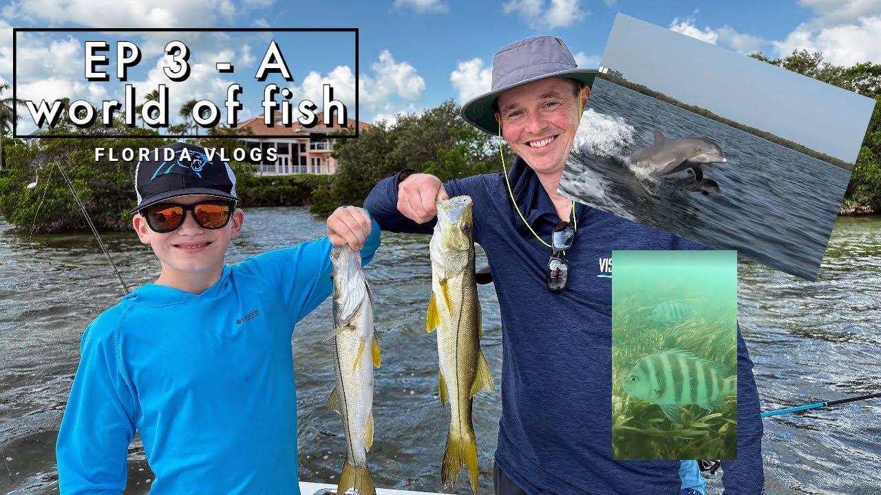 Florida Vlogs 2023 Part 3 A world of fish (Fishing, Egmont key