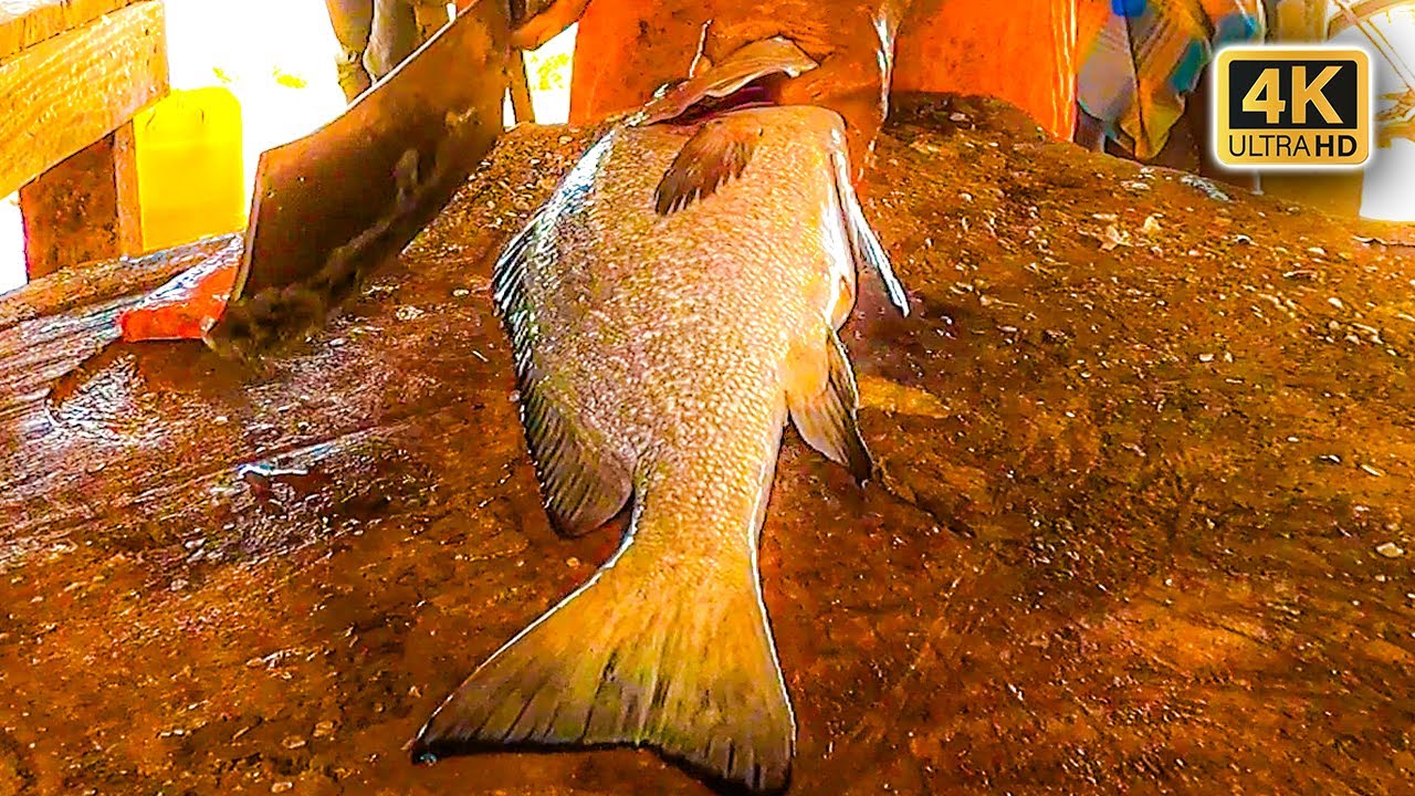 Supper Fast Slicing/Avondmaal snel vis snijden/Tranchage de poisson rapide pour le souper/夕食の高速スライス