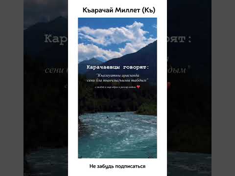 Карачай Кавказ #свадьба