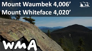Hiking NH - Mount Waumbek 4,006' | Mount Whiteface 4,020'