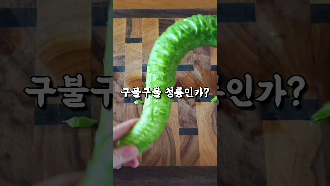 즉석 오이장아찌