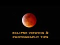 How to see and photograph Lunar Eclipse March 2025 - when &amp; where