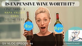 $30 CAB VS. $400 CAB - IS EXPENSIVE WINE REALLY WORTH IT? SV VLOG, ep.44 screenshot 4