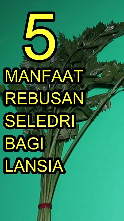 5 Benefits of Boiled Celery for Seniors 50  #permanacuy