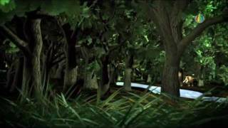 Forest.wmv