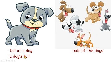 Class-4 Nouns Possession (Explanation + Book Exercise)