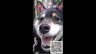 Azuminレコ発ライブツアーえっほえっほ