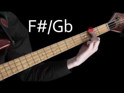 learn-bass---learning-the-notes-of-the-fretboard