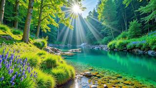 Música curativa para aliviar el estrés y la ansiedad 🌿 Naturaleza relajante en calidad 4K screenshot 4