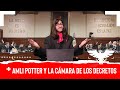 AMLI POTTER Y LA CÁMARA DE LOS DECRETOS - EL PULSO DE LA REPÚBLICA