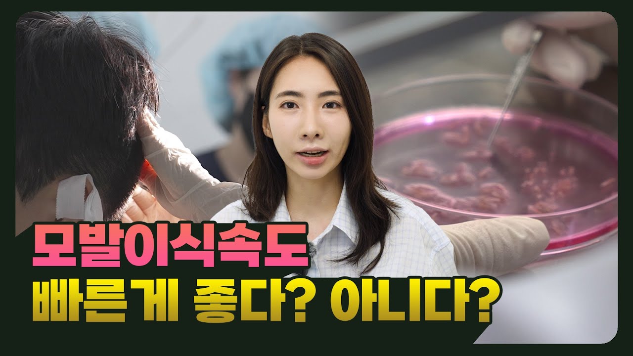 급속 이식이 생착률이 좋을까요? — 다 뽑고 이식