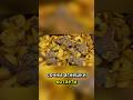 Агнешки котлети с картофи - Великденска рецепта #shorts