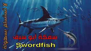 ابو سيف سمكة لا تملك أسنانا  |  Swordfish fish