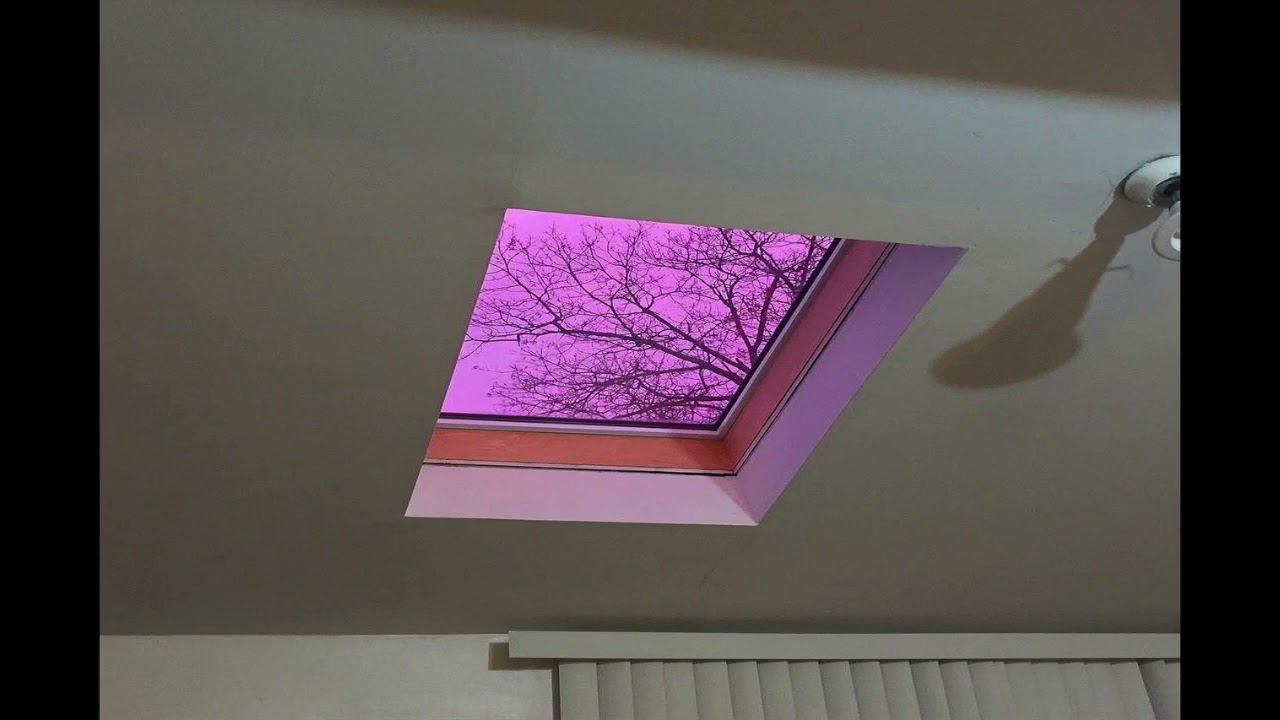 *FREE* Playboi Carti x Young Nudy Type Beat 