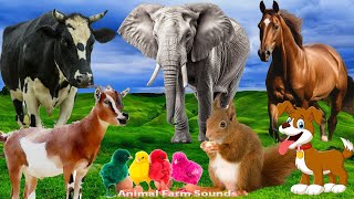 Sounds Of Familiar Farm Animals: Duck, Cow, Horse, Chicken, Cat, Elephant - Animal Sounds