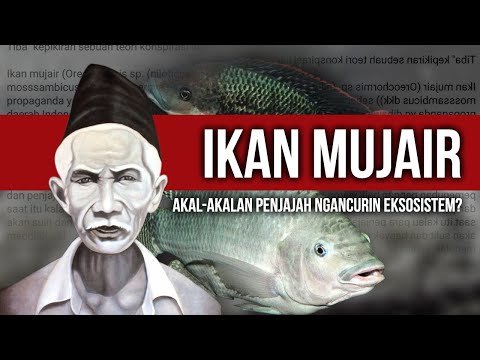 TEORI KONSPlRASl IKAN MUJAER YANG TERNYATA IKAN PENJAJAH?