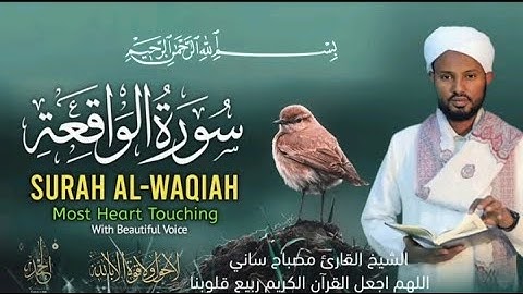 Sheikh_Misbah Sanii, Suuraa Al-Waqi’aa القارئ مصباح ساني سورة الواقعة