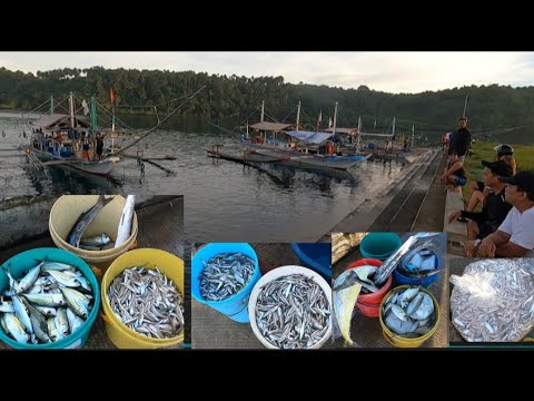 IBAT IBANG KLASING ISDA ANG HULI NG MGA BASNIG - YouTube