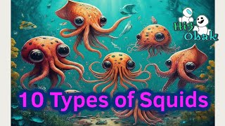 10 Types of Squids #hi5obak