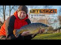 Bomb fishing for big carp with steve ringer  guru bitesize 030