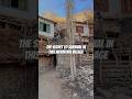 The Secret to Survival in this Mountain Village #MountainSurvival #VillageLife #SelfSufficiency