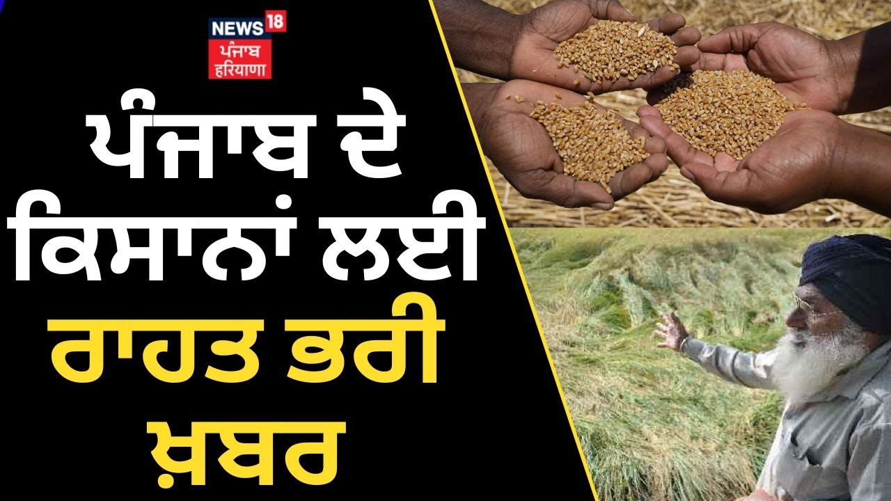 Centre Relaxes Wheat Procurement | Punjab ਦੇ ਕਿਸਾਨਾਂ ਲਈ ਰਾਹਤ ਭਰੀ ਖ਼ਬਰ ...