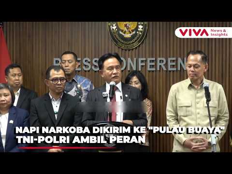 Drug Inmates Overcrowd Prisons, Yusril Prepares "Crocodile Island" as Rehabilitation Center