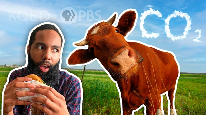 What's It Like To Go Vegan (for a week)?