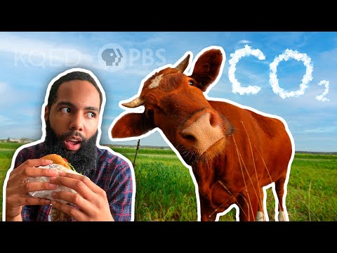 What's It Like To Go Vegan (for a week)?