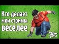 Кто делает мои стримы веселее